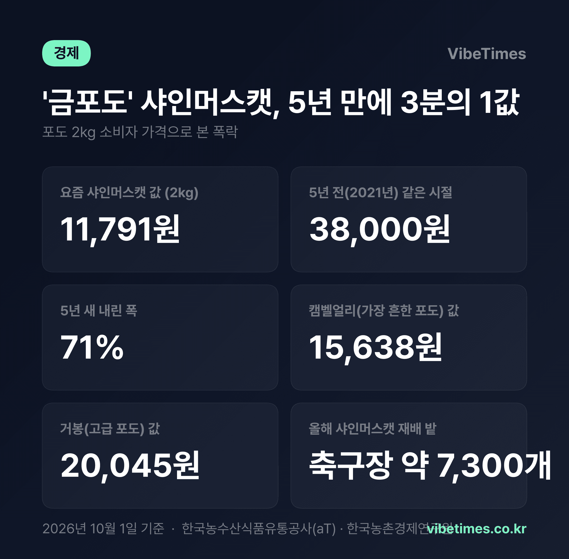 '금포도' 샤인머스캣 5년 만에 71% 폭락…이젠 캠벨얼리보다 싸다